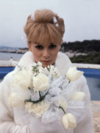 Mireille Darc