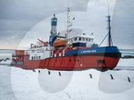 FEATURE - Pix of the Week - Bilder der Woche