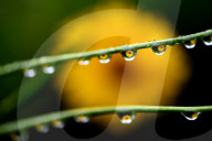 FEATURE - Pix of the Week - Bilder der Woche