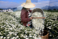 FEATURE - Pix of the Week - Bilder der Woche
