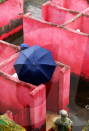 FEATURE - Pix of the Week - Bilder der Woche