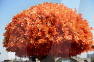 FEATURE - Pix of the Week - Bilder der Woche