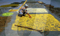 FEATURE - Pix of the Week - Bilder der Woche