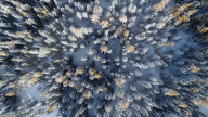FEATURE - Pix of the Week - Bilder der Woche