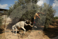 FEATURE - Pix of the Week - Bilder der Woche