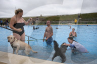 FEATURE - Poolparty für Hunde