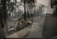 NEWS - Portugal: Verwüstungen nach Waldbränden