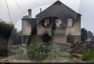 NEWS - Portugal: Verwüstungen nach Waldbränden