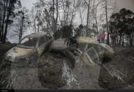 NEWS - Portugal: Verwüstungen nach Waldbränden