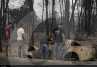 NEWS - Portugal: Verwüstungen nach Waldbränden