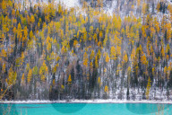 FEATURE - Kanas Lake in China