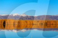 FEATURE - Kanas Lake in China