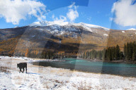 FEATURE - Kanas Lake in China