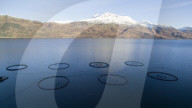 REPORTAGE - Lachsfarm am Loch Hourn in Schottland
