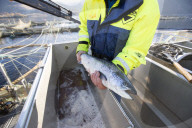 REPORTAGE - Lachsfarm am Loch Hourn in Schottland