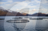 REPORTAGE - Lachsfarm am Loch Hourn in Schottland