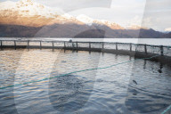 REPORTAGE - Lachsfarm am Loch Hourn in Schottland