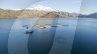 REPORTAGE - Lachsfarm am Loch Hourn in Schottland