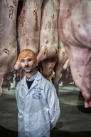 REPORTAGE - Schweine-Schlachthof in Belgien