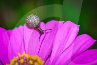 FEATURE - Bilder der Woche