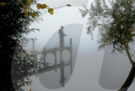 FEATURE - Bilder der Woche