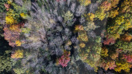 FEATURE - Bilder der Woche