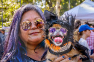 FEATURE - Hallo-Wau! Helloween Hundeparade in New York