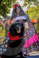 FEATURE - Hallo-Wau! Helloween Hundeparade in New York