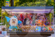 FEATURE - Hallo-Wau! Helloween Hundeparade in New York