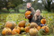 FEATURE - Halloween steht vor der Tür