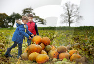 FEATURE - Halloween steht vor der Tür
