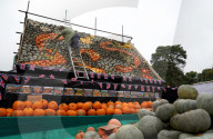 FEATURE - Halloween steht vor der Tür