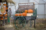FEATURE - Halloween steht vor der Tür