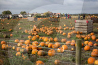 FEATURE - Halloween steht vor der Tür