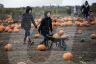 FEATURE - Halloween steht vor der Tür
