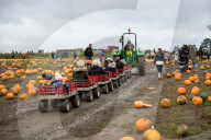 FEATURE - Halloween steht vor der Tür