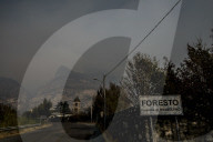 NEWS - Italien: Trockenheit und hohe Temperaturen fÃ¼hren zu WaldbrÃ¤nden