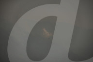 NEWS - Italien: Trockenheit und hohe Temperaturen fÃ¼hren zu WaldbrÃ¤nden