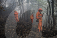 NEWS - Italien: Trockenheit und hohe Temperaturen fÃ¼hren zu WaldbrÃ¤nden