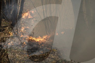 NEWS - Italien: Trockenheit und hohe Temperaturen fÃ¼hren zu WaldbrÃ¤nden