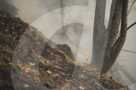 NEWS - Italien: Trockenheit und hohe Temperaturen fÃ¼hren zu WaldbrÃ¤nden