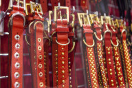 FEATURE - Discover Dogs: Hundeshow in London
