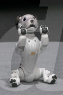 FEATURE - Sony präsentiert den neuen Roboterhund "Aibo"