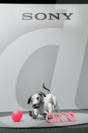 FEATURE - Sony präsentiert den neuen Roboterhund "Aibo"