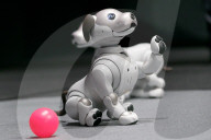 FEATURE - Sony präsentiert den neuen Roboterhund "Aibo"