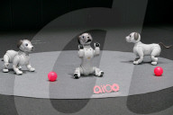 FEATURE - Sony präsentiert den neuen Roboterhund "Aibo"