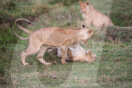 FEATURE - Spielerisches Lernen in der Junglöwen-Schule