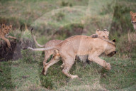 FEATURE - Spielerisches Lernen in der Junglöwen-Schule