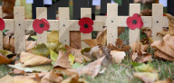 NEWS - London: Vorbereitung auf den Armistice Day