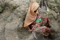 NEWS - Das Leiden der Rohingya: Hunderttausende auf der Flucht